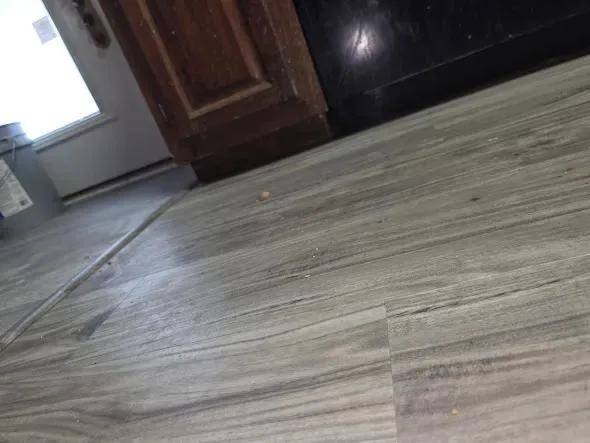 Comptons Painting LLC — Cabinets project
