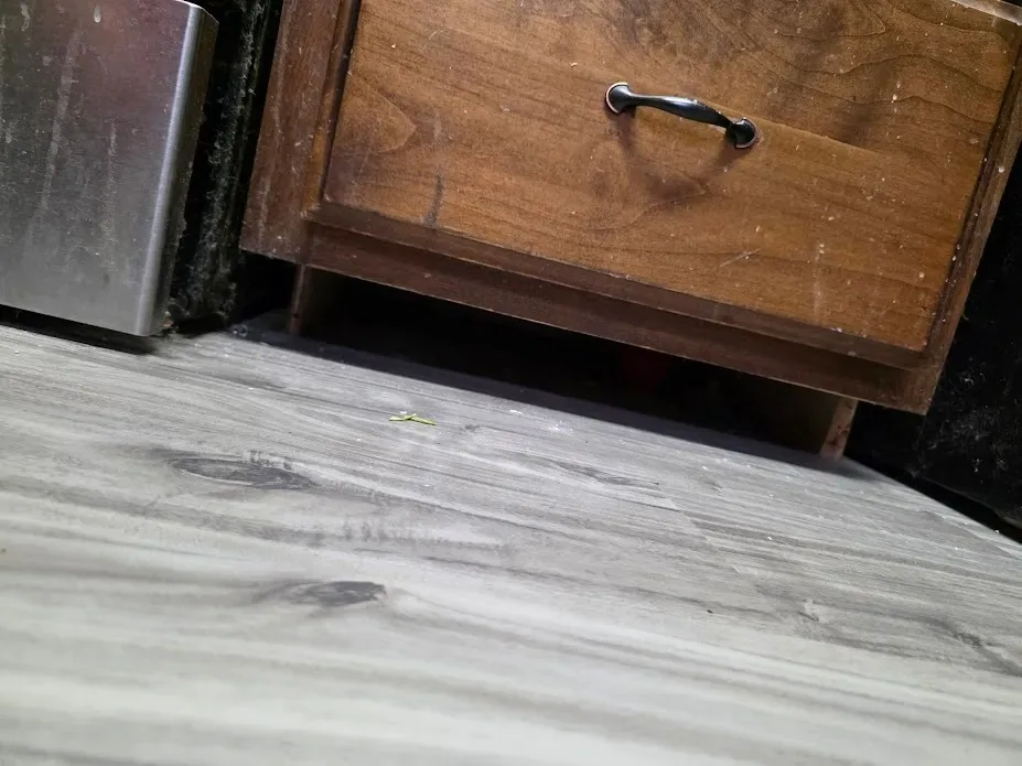 Comptons Painting LLC — Cabinets project