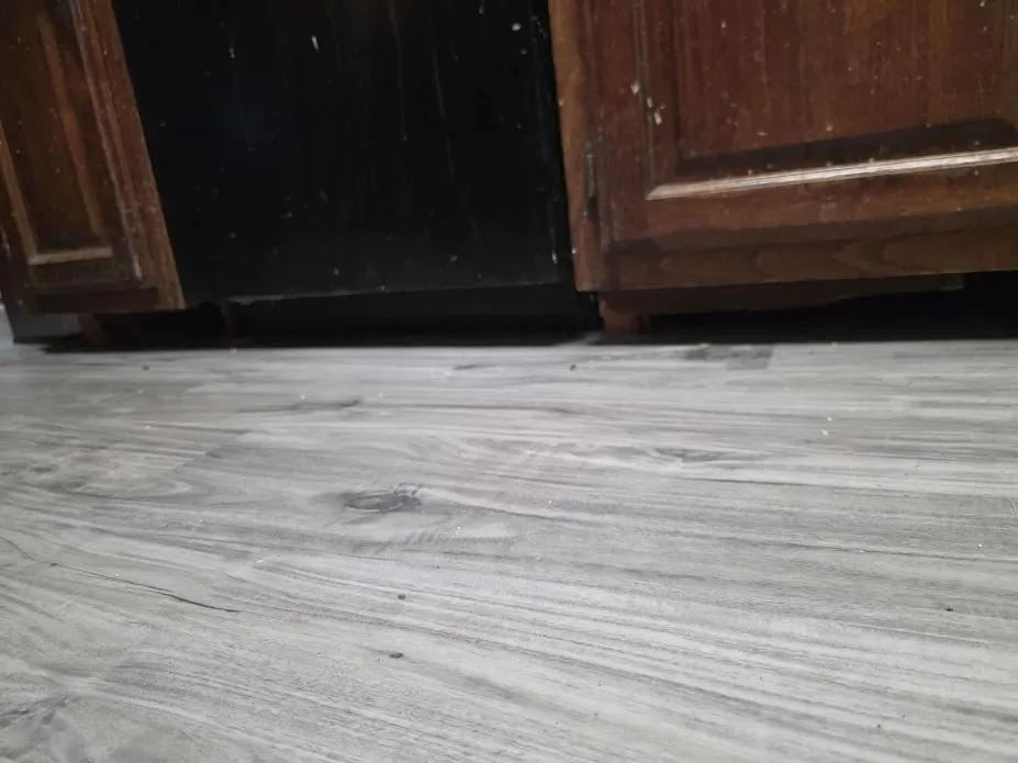 Comptons Painting LLC — Cabinets project